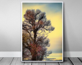 Tree poster, play of air wind and sun, high quality, colorful image in yellow green blue, stylish decoration