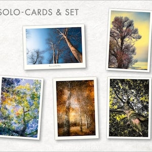Cartes d’arbre - simple ou ensemble, photographie de glaçure et techniques mixtes, cartes postales de haute qualité avec une sensation élégante, pour la salutation et la décoration