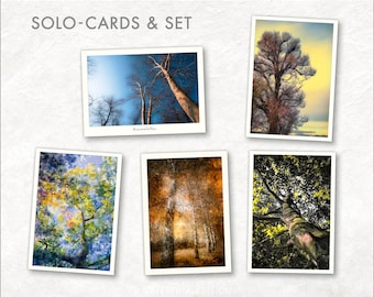 Magic tree cards - single or set card, glaze-photography and mixed media, postcards with elegant touch for greeting and decoration