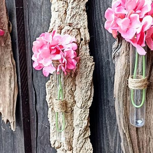Hanging decoration made of driftwood bark with a test tube for a small floral greeting