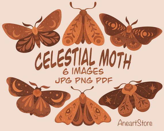 Moth Clipart Celestial Clipart Boho Moth Celestial Moth | Etsy