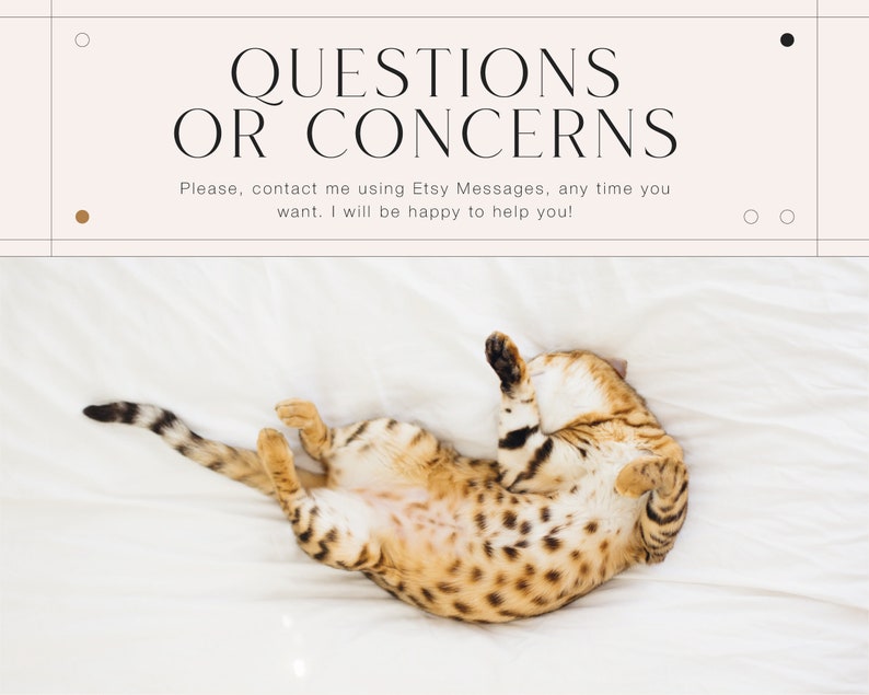 May include: A domestic cat with a patterned coat is seen lying on its back on a white sheet. The image includes the text "QUESTIONS OR CONCERNS" and a message to contact via Etsy Messages.