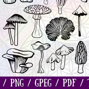 May include: A collection of black and white mushroom illustrations, including morels and fly agarics. The image features various mushroom shapes and sizes. The text "SVG / PNG / JPEG / PDF / TIFF" is displayed in white on a purple background at the bottom.