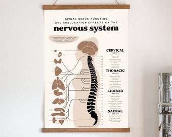 Chiropractic ANS Chart + Nervous System Poster | Subluxation Effects