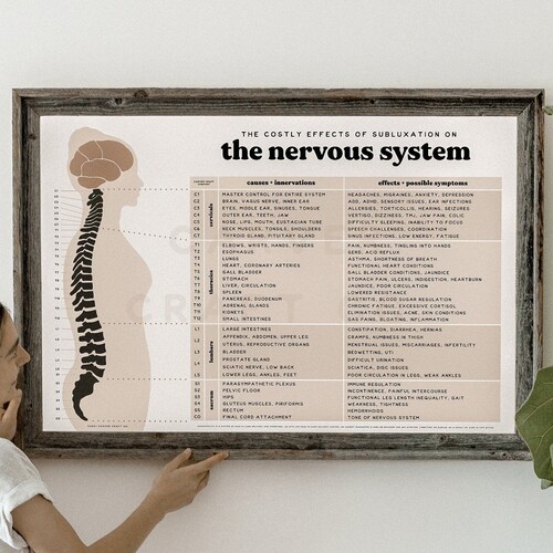Chiropractic ANS Chart Nervous System Poster Subluxation - Etsy