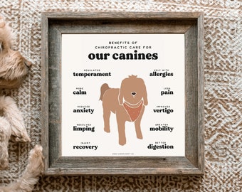 Benefits of Animal Chiropractic Care for Dogs Poster