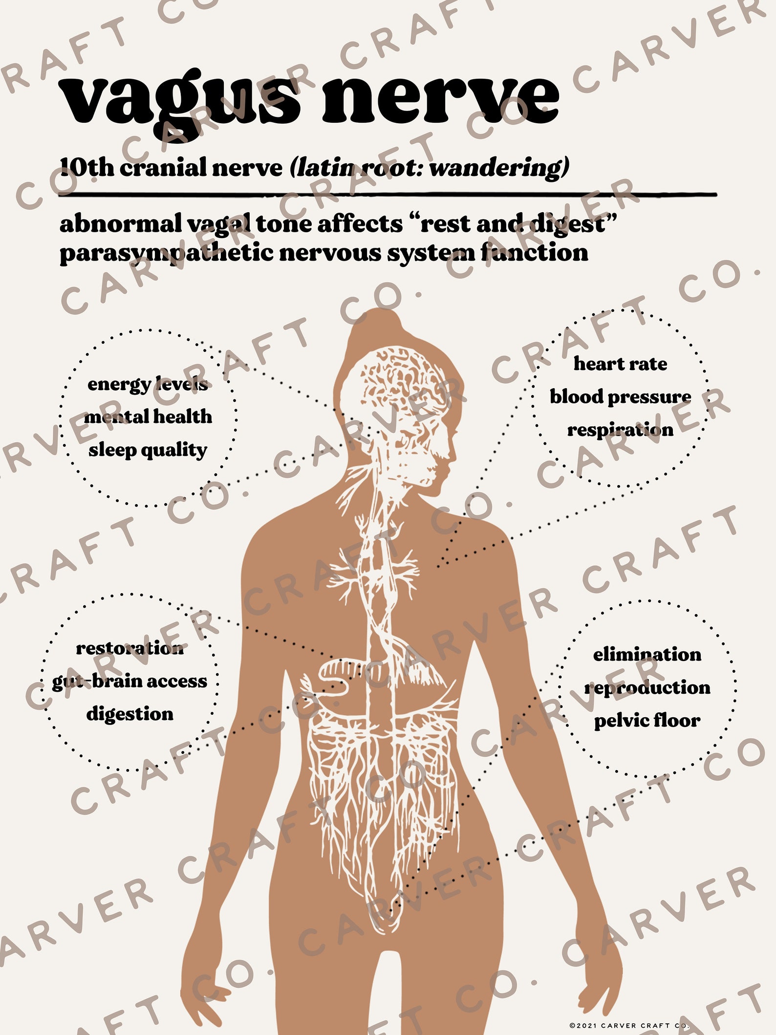 NEW Vagus Nerve Rest and Digest Print for Etsy