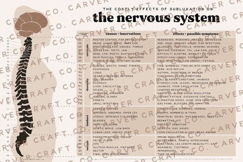 Effects of Subluxation Chart + Nervous System Poster | Chiropractic ...