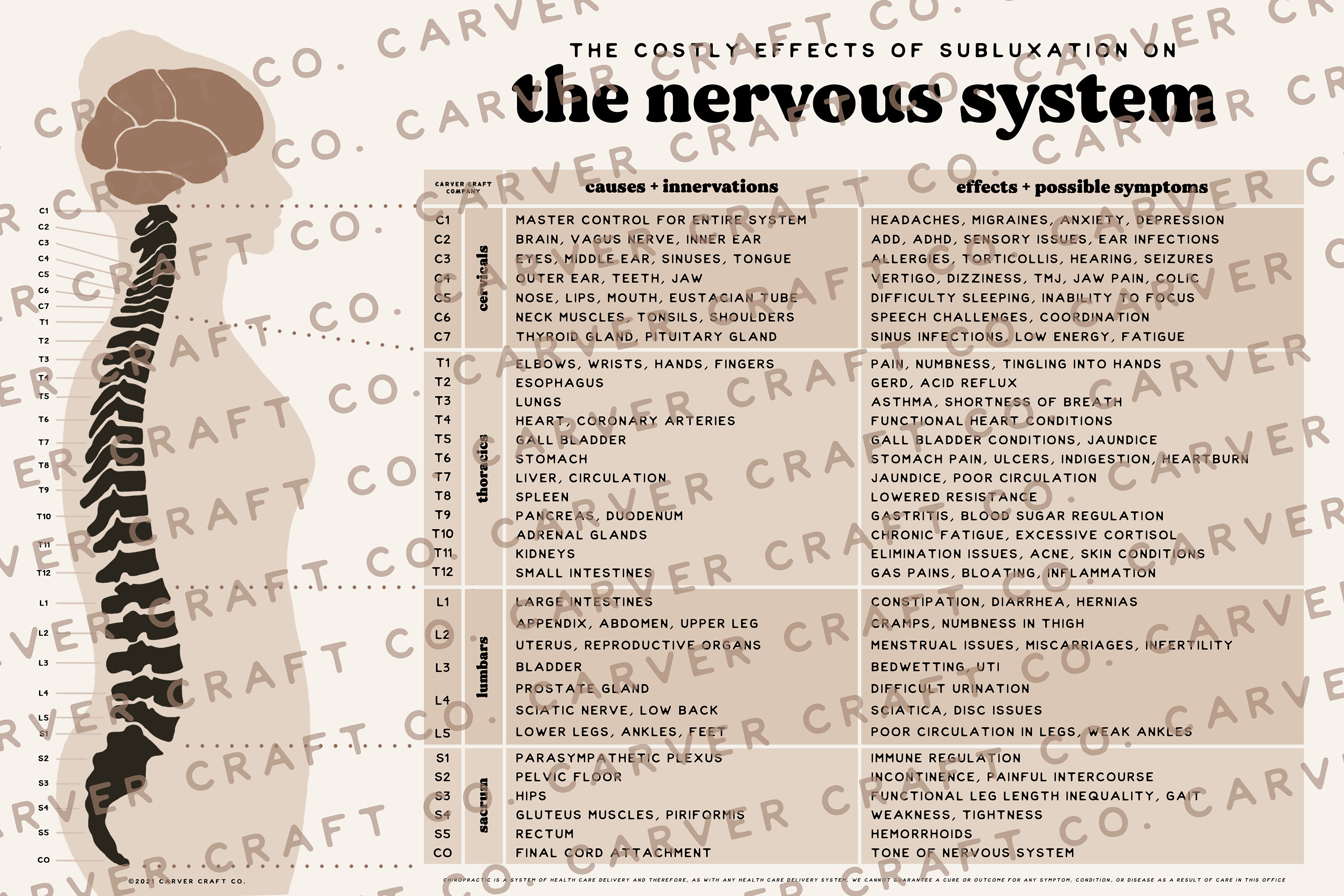 Effects of Subluxation Chart + Nervous System Poster | Chiropractic ...