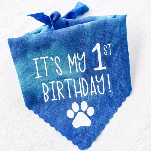 It's My Birthday Dog Shirt Dog Birthday Shirt Custom Etsy