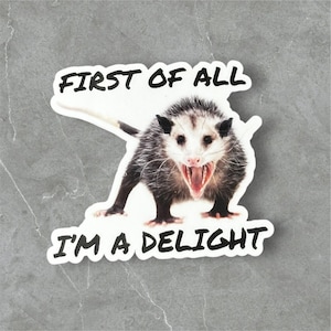 First of all I&#39;m a delight, funny possum sticker for laptop, cute animal stickers funny vinyl decal, opossum gift, sarcastic gift for women