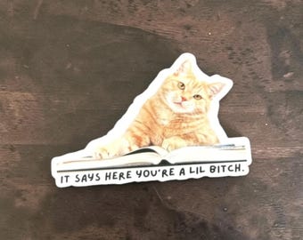 May include: A die-cut sticker featuring an orange tabby cat resting its front paws on an open book. The cat has yellow eyes and is looking forward. Below the book, the text reads, IT SAYS HERE YOU'RE A LIL BITCH. The sticker has a white border.