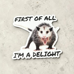 Possum Sticker Funny, First of all I'm a delight, opossum gift, sarcastic opossum, water bottle sticker, funny animal gifts, adult humor image 8