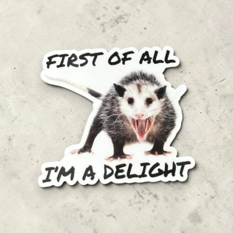 Possum Sticker Funny, First of all I'm a delight, opossum gift, sarcastic opossum, water bottle sticker, funny animal gifts, adult humor image 8