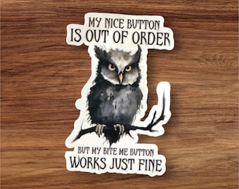 Owl stickers, nice button out of order, adult humor, animal pun, bird lover gift, bird decals, gift for coworker, sassy birds, laptop decals