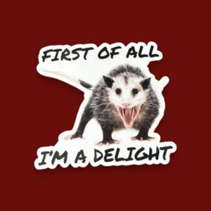 Possum Sticker Funny, First of all I'm a delight, opossum gift, sarcastic opossum, water bottle sticker, funny animal gifts, adult humor image 4