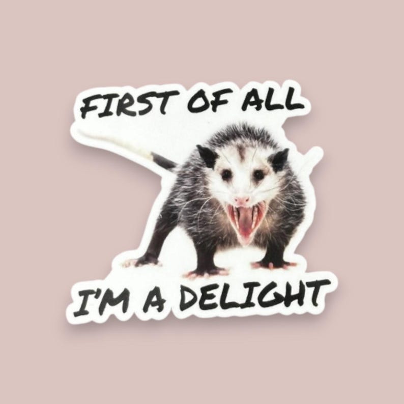 Possum Sticker Funny, First of all I'm a delight, opossum gift, sarcastic opossum, water bottle sticker, funny animal gifts, adult humor image 2