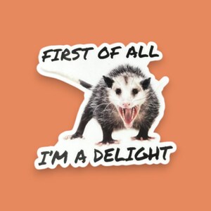 Possum Sticker Funny, First of all I'm a delight, opossum gift, sarcastic opossum, water bottle sticker, funny animal gifts, adult humor image 3