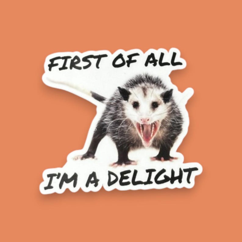 Possum Sticker Funny, First of all I'm a delight, opossum gift, sarcastic opossum, water bottle sticker, funny animal gifts, adult humor image 3