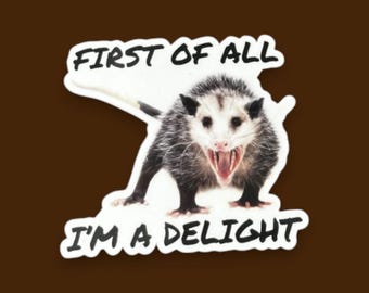 Possum Sticker Funny, First of all I'm a delight, opossum gift, sarcastic opossum, water bottle sticker, funny animal gifts, adult humor