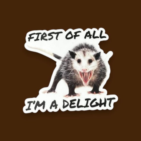 Possum Sticker Funny, First of all I'm a delight, opossum gift, sarcastic opossum, water bottle sticker, funny animal gifts, adult humor