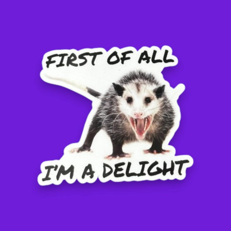Possum Sticker Funny, First of all I'm a delight, opossum gift, sarcastic opossum, water bottle sticker, funny animal gifts, adult humor image 7