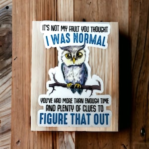 Not my fault you thought I was normal sticker, stickers for water bottles, funny gifts, for women, stickers for mental health
