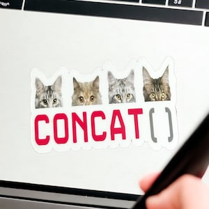 Concatenar pegatina, regalo de programador, mujeres en tecnología, pegatinas de tecnología para ella, regalo para compañero de trabajo, juegos de palabras con pegatinas, pegatina de tecnología