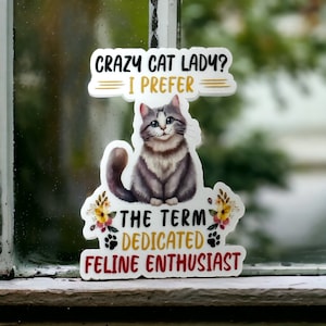 Funny cat stickers for kindle, crazy cat lady gifts, Easter basket filler for cat lovers, cute cat gifts for women, Easter gifts for cat mom