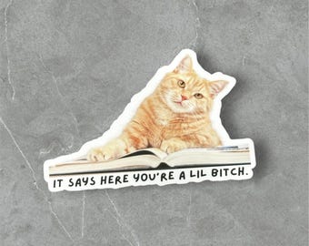 Sarcastic cats, it says here you're a lil bitch, cat stickers for kindle, cat mom gifts, stickers for water bottles, funny gifts for friends