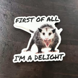 Possum Sticker Funny, First of all I'm a delight, opossum gift, sarcastic opossum, water bottle sticker, funny animal gifts, adult humor image 5