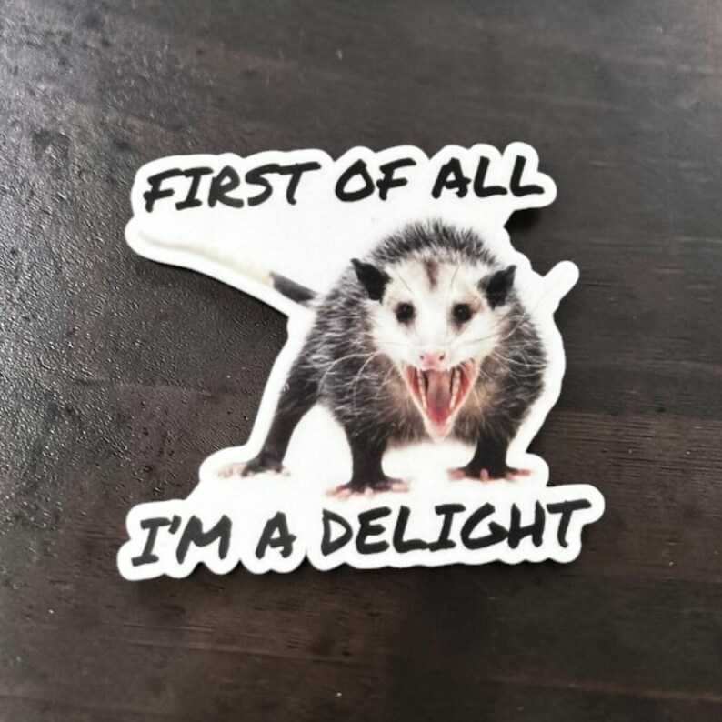 Possum Sticker Funny, First of all I'm a delight, opossum gift, sarcastic opossum, water bottle sticker, funny animal gifts, adult humor image 5