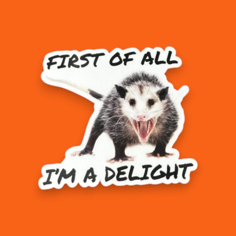 Possum Sticker Funny, First of all I'm a delight, opossum gift, sarcastic opossum, water bottle sticker, funny animal gifts, adult humor image 9
