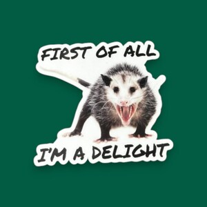 Possum Sticker Funny, First of all I'm a delight, opossum gift, sarcastic opossum, water bottle sticker, funny animal gifts, adult humor image 10