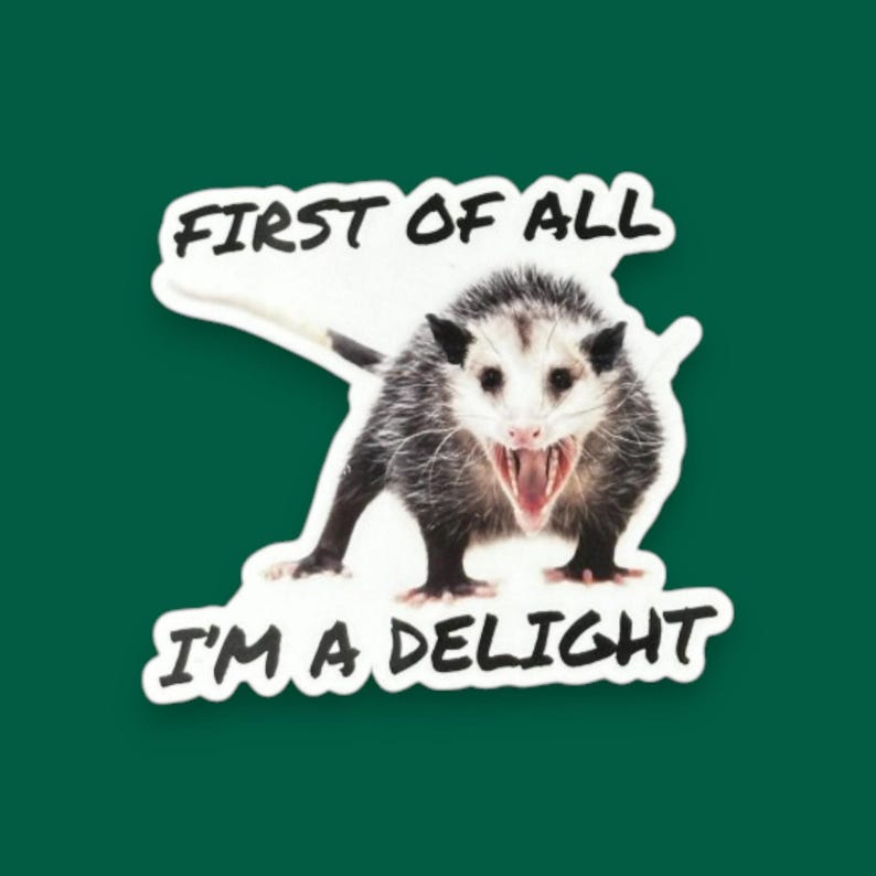 Possum Sticker Funny, First of all I'm a delight, opossum gift, sarcastic opossum, water bottle sticker, funny animal gifts, adult humor image 10