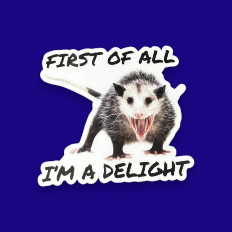 Possum Sticker Funny, First of all I'm a delight, opossum gift, sarcastic opossum, water bottle sticker, funny animal gifts, adult humor image 6