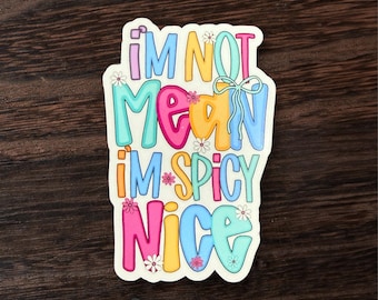 Spicy nice sticker, sassy gift for best friend, adult humor, stickers for laptop, water bottle decals, sarcastic sayings, gifts for coworker