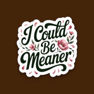 I Could Be Meaner Sticker, Funny Sarcastic Quote Decal, Sassy Floral Sticker, Snarky Humor Gift, Coworker Gift, Laptop Decal