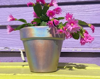 Holographic Planter