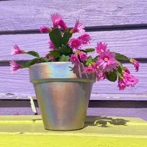 Holographic Planter