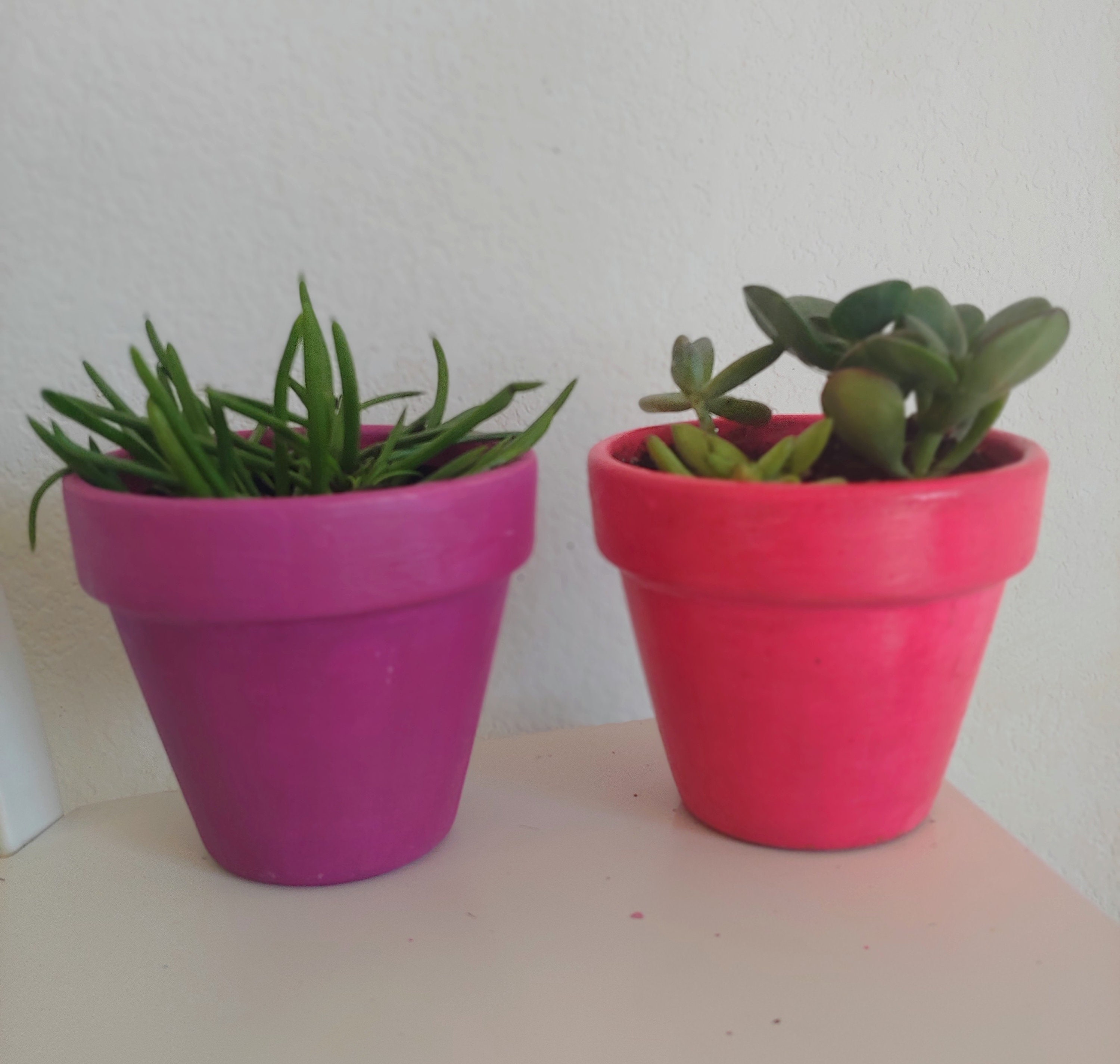 Thermochromic Color Changing Planter, Plant Pots - Etsy