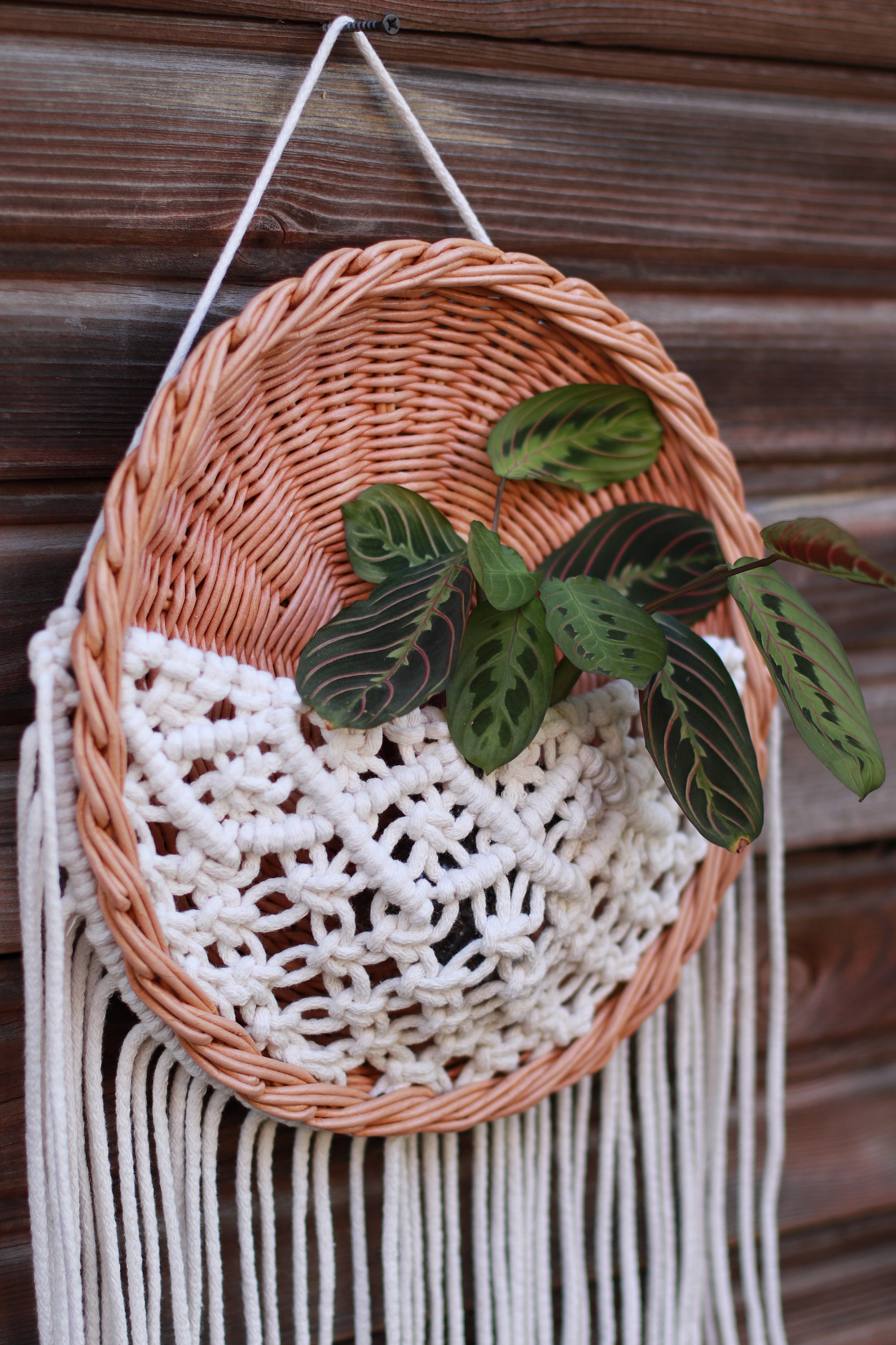 Macrame wall hanging basket macrame plant holder rattan Etsy