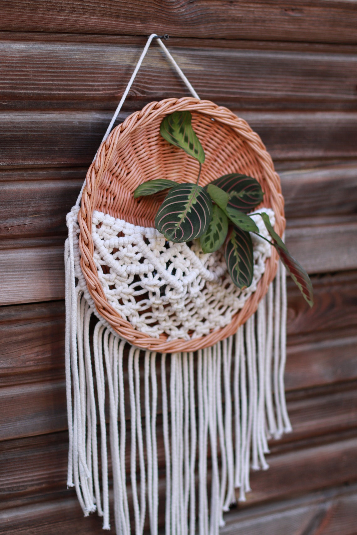 Macrame wall hanging basket macrame plant holder rattan Etsy