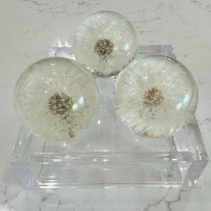 Puede incluir: Tres esferas de resina transparente, cada una encapsulando una delicada cabeza de semilla de diente de león blanca. Las esferas descansan sobre una bandeja rectangular de acrílico transparente, creando un acento decorativo moderno inspirado en la naturaleza.