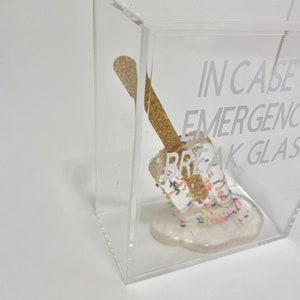 May include: A clear acrylic box containing a gold and white popsicle. The popsicle is melting and has sprinkles on it. The text "IN CASE OF EMERGENCY BREAK GLASS" is printed on the box.