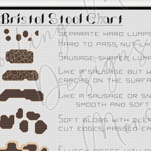 Funny Bathroom Wall Art Cross Stitch Pattern PDF, Bristol Stool Chart Embroidery, Gag Gift Idea, Toilet Humor Decor, Instant Download
