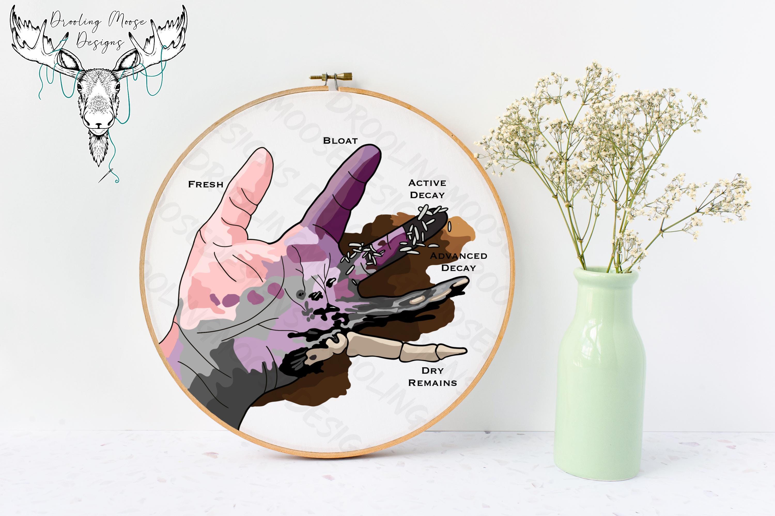 PRINTED | FIVE STAGES of Decay Hand Embroidery Template Pattern Printed ...