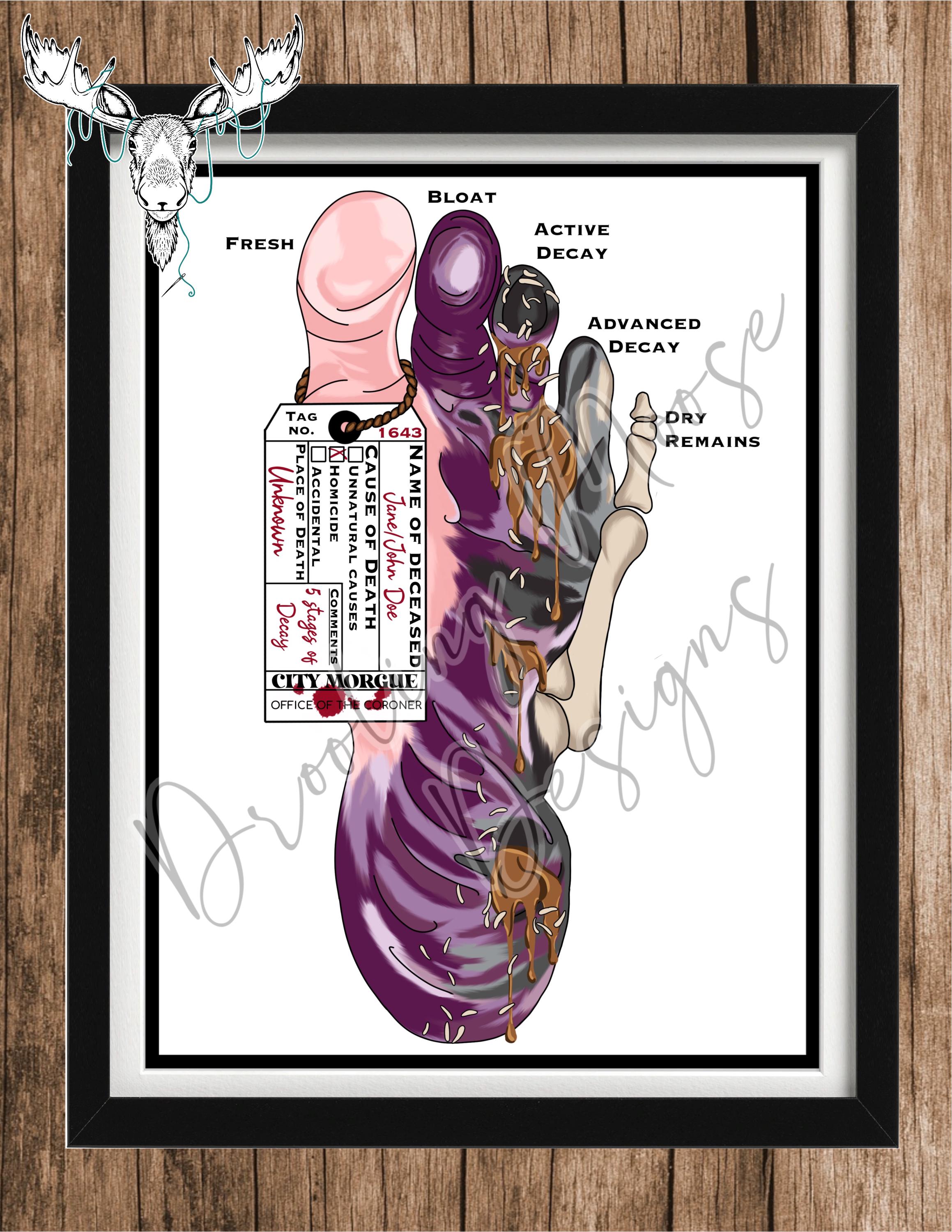 Five Stages of Decay Foot Embroidery Pattern PDF, Anatomical Study ...