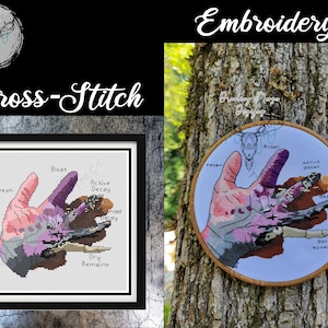 Double Pattern!! FIVE STAGES of DECAY Hand Embroidery & Cross Stitch | Pdf digital pattern morbid death rotten maggots flesh