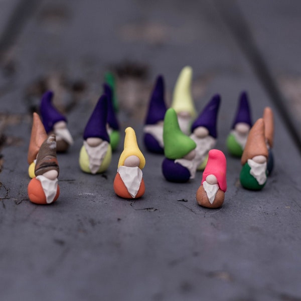 Tiny  Gnomes, Fairy Garden, Pack of 5 or 8, Terrarium, Polymer Clay, Lawn Ornament